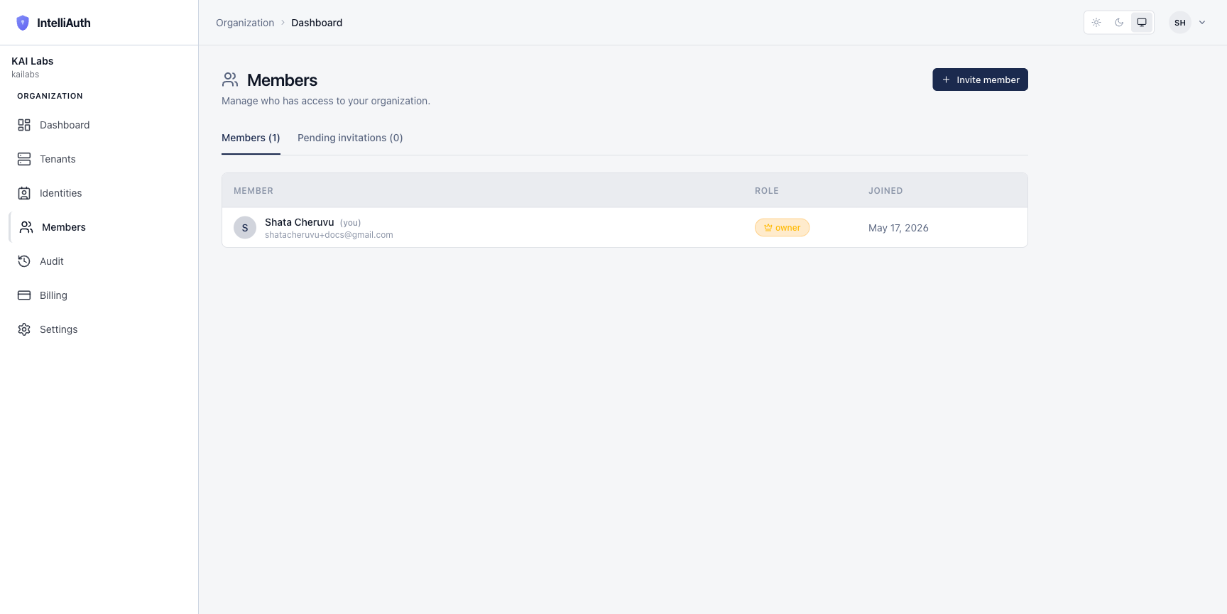 The Members page showing one member with the owner badge, plus tabs for Members and Pending invitations